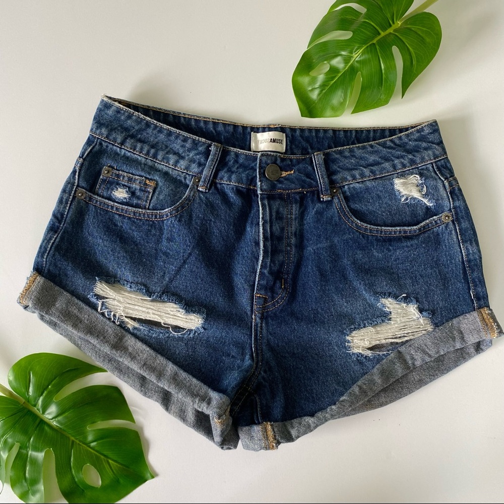 Amuse Society Shorts
